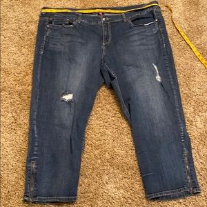 Distressed Torrid Jeans